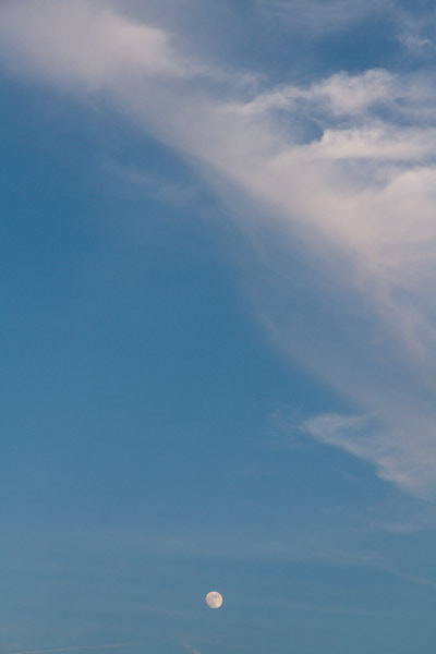 オンライン写真展