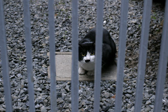 オンライン写真展　武内正樹