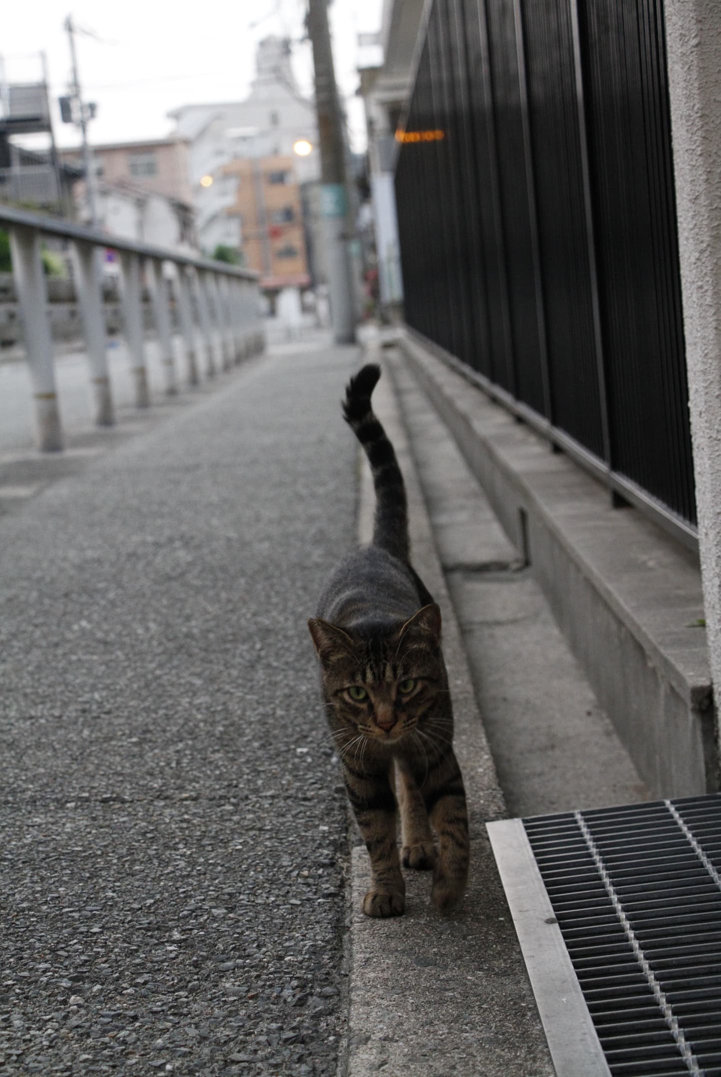 オンライン写真展　武内正樹