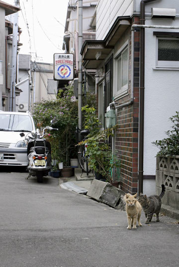 オンライン写真展　武内正樹