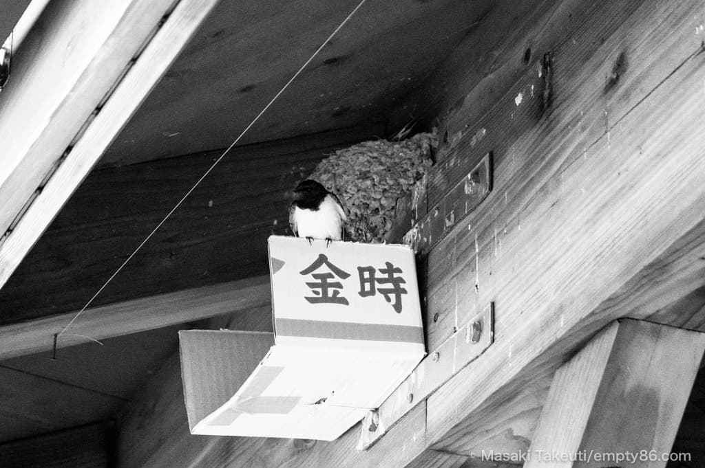 オンライン写真展